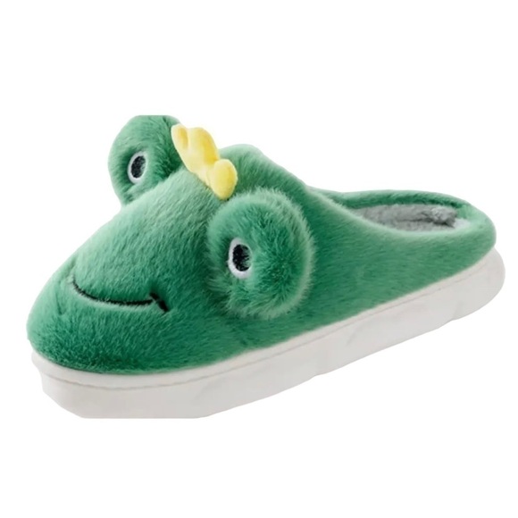 New Fuzzy Frog Slippers - Picture 1 of 4